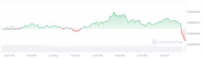 今天投资5,000美元购买柴犬币，到2025年第三季度能否盈利？详细分析与预测