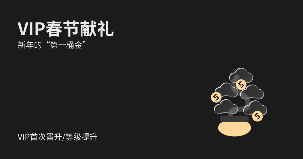 【 VIP 春节献礼】首次晋升/等级提升，领新年第一桶金
