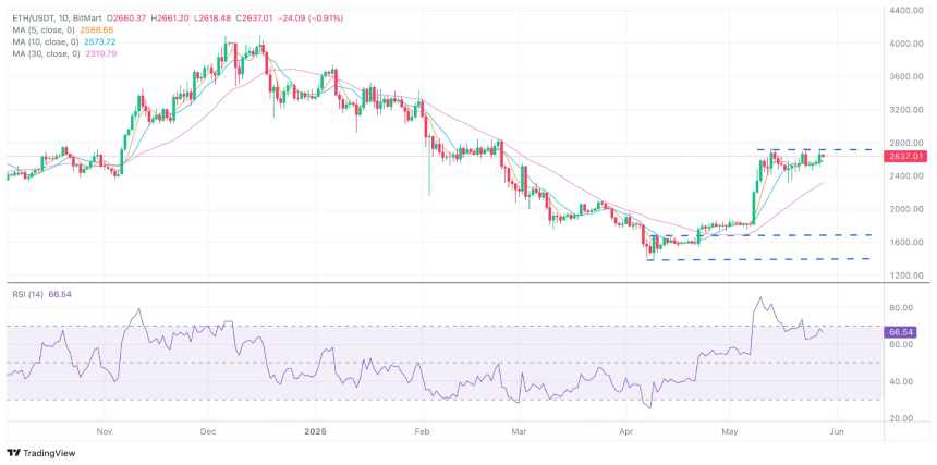 BitMart VIP Insights：加密市场五月回顾与六月展望