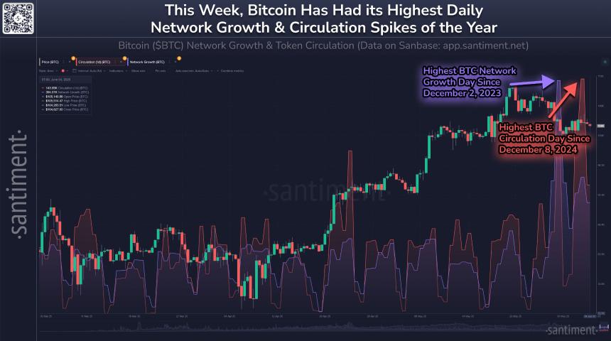 比特币网络增长激增：价格停滞下链上活动与用户参与度持续攀升
