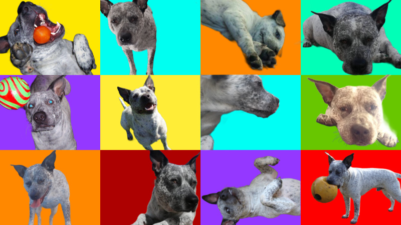 ZEUS宣布与原创艺术家及商标持有者达成知识产权合作