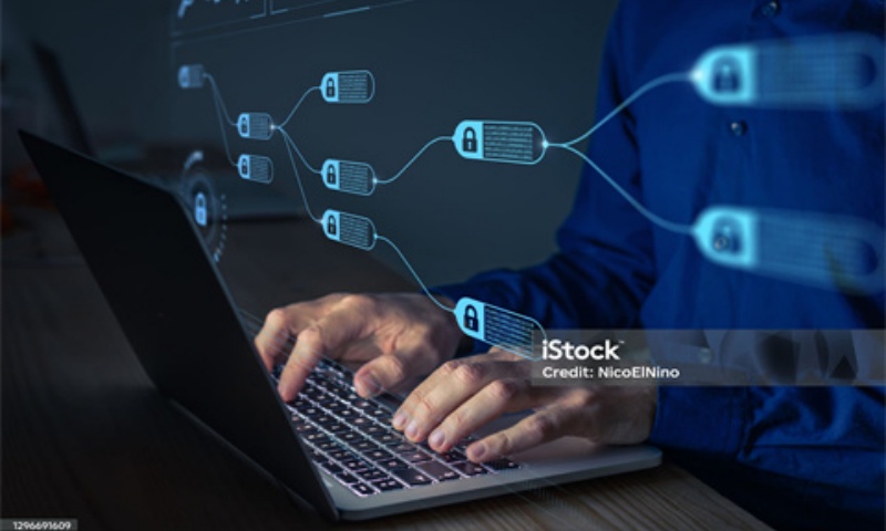 宝贝狗币是马斯克的吗？宝贝狗币与马斯克的关系分析