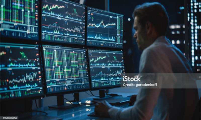 DOGEKING是什么币种?一文全面了解DOGEKING币的特点