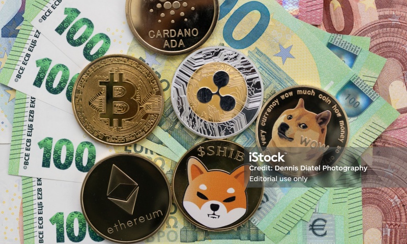 DOGEKING是什么币种？一文全面了解DOGEKING币的特点